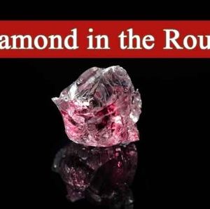 Meet your Posher, Neemah